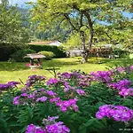 In Feld Am By Brennsee * Feld am See