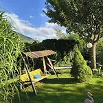 In Feld Am By Brennsee