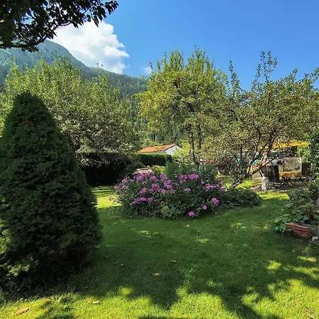 In Feld Am By Brennsee Feld am See