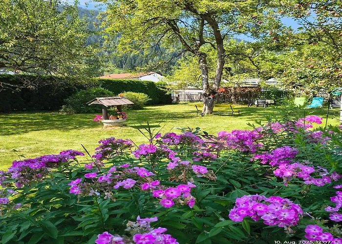 In Feld Am By Brennsee * Feld am See